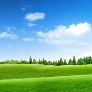 Ҫ÷