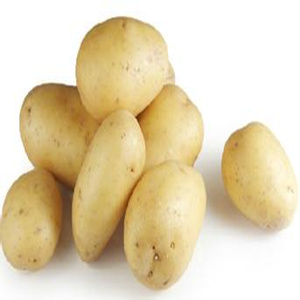 αĺû
