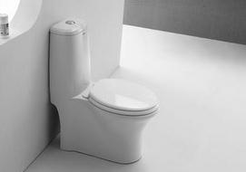 坐便器十大品牌 坐便器十大品牌排名