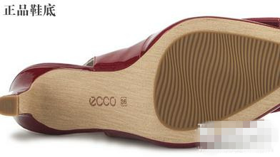 ôeccoЬ ôeccoЬ