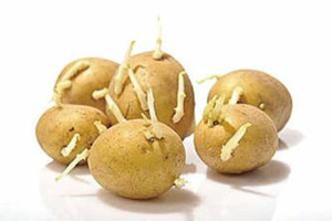 食物中天然毒素的处理