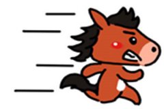 ô 
