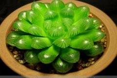 12Фʲôֲ 12Ф