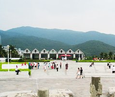 梦见广场散步