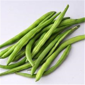 四季豆的营养价值