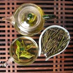 苦丁茶又称为美容茶