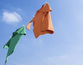 ڿӦôɹ