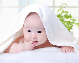 该罚的