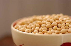 大豆的营养价值 大豆的营养价值有哪些