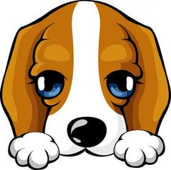 怎样取名字 狗宝宝起名用字宜忌