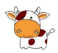 ţ ţ