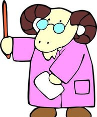 生肖五行婚配表 属羊男生和属牛女生配对