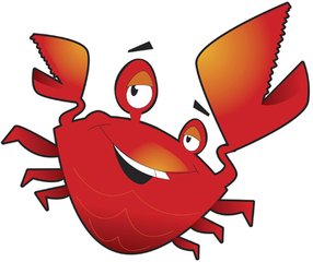 O型血属兔巨蟹座星座血型生肖