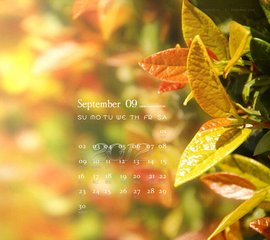 玛法达本周星座运势 9月7至13运势