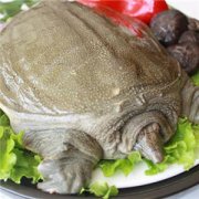 Ӫֵ ʲôЧ