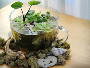 旧物改造工艺品之花器工艺品改造