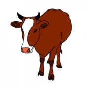ʮ֪ʶ 2009ʲô
