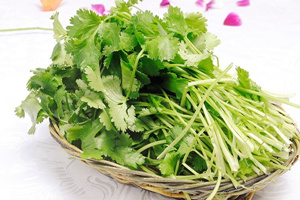 香菜的营养价值 香菜的营养价值有哪些