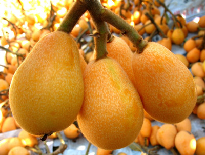 ʲôˮ ٳԷˮ