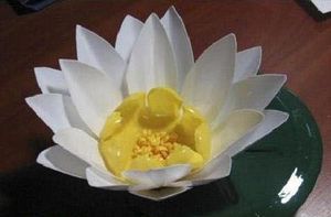 塑料瓶手工制作花之饮料瓶制作精美莲花手工