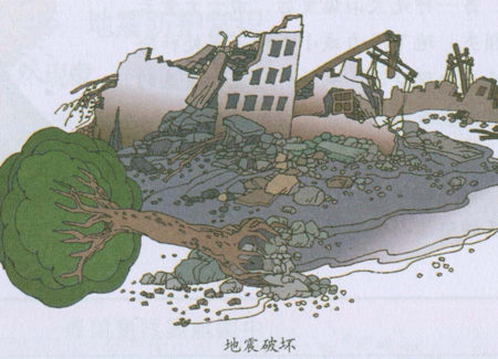 地震的相关知识