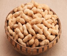 칫ʳ 칫Ҳٵʳ