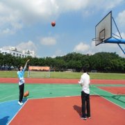 �����Ͷ������ Ͷ������ȷ���ƺ�����