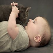 ӤȱƻЩ αӤǷȱ