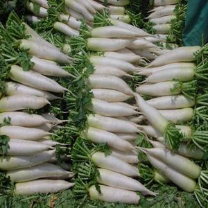 吃哪些可以抑制长胖