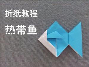 手工简单折纸鱼教程之热带鱼手工折纸