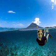 ��һ���˶����¼ƻ� ��θ�������Ŀ�·��