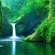 �й�����ʤ�� �й�����ʤ������Щ