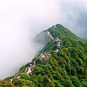 深圳梧桐山