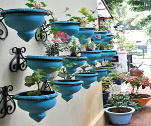 家居阳台盆栽植物效果图