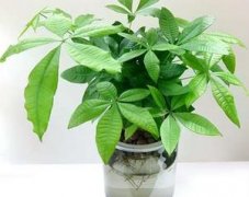 �в�����ô�� �в�������ֳ������ע������