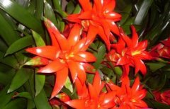 2015���˵�ͷ����ֳ������ע������