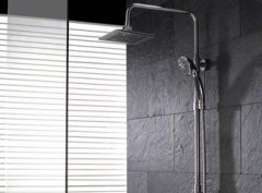 ʲô���ӻ����� 2015����ʮ��Ʒ�ƽ���