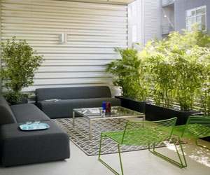 家居阳台盆栽植物效果图