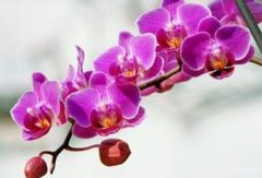 ����������ֳ������ע������