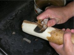 ��������ֹɽҩ�� �Ӵ�ɽҩ��ֹ������