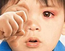 ���Ԥ��ɢ�� ɢ������Ʒ���