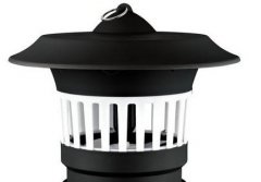 ���õ����ֺ� ���õ�ѡ������