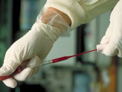 ���Խ���������ȫ�� �������䡰̫�ࡱ��