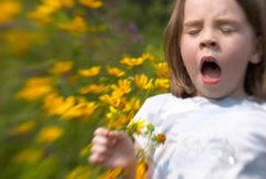 �շ�������������ԭ�� �������������