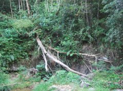 �����б����Լ� ��Ұ����ΰ�ȫ�