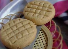 ������Ʈ����ɵ����� �����������Ʈ�����