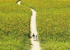 �����ȷ������ ����ʱ��ȷ����·����