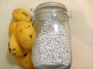 ��ô��â������¶ â������¶������ͼ��