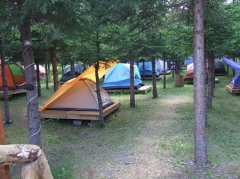 ����¶Ӫȫ���� ����¶Ӫʵ��֪ʶ