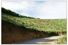 ɽ���ٽ���Σ�� ɽ���ٽ�����������